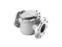 Dungs Gas and Air Filter GF 40200 Article Number 218164