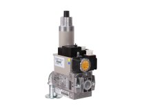 Ecoflam GT-D2-MBZRDLE407-RP20-MAXGAS170-250 Gas Ramp